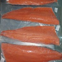 IMG-20250313-WA0092