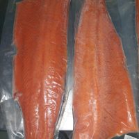 IMG-20250313-WA0093